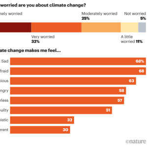 Youth and Climate Activism in France