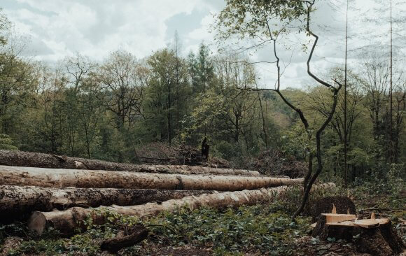 An Increase in Deforestation, Fires, Land Invasion, and Illegal Mining in the Amazon