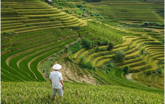 japan-55 Climate Change Loss & Damage is Critically Affecting the Agricultural sector in Japan