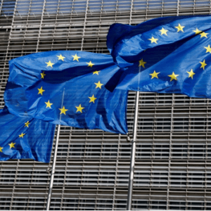 Digitalization of the EU’s Power Grid: A Way to Combat Emissions and Work Towards a Greener Future