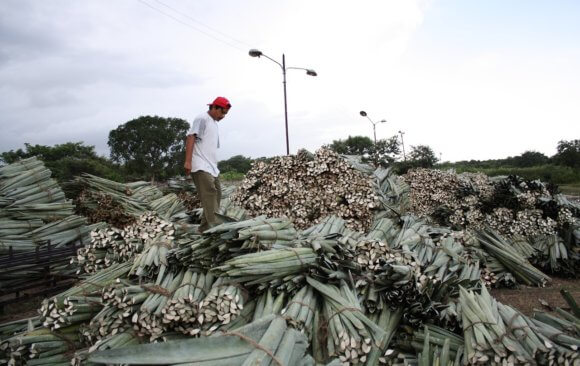 Mexico: A Climate Look Past and Forward