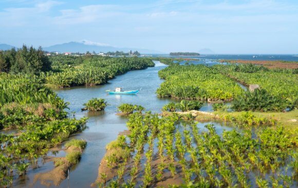 Brazil’s Agriculture Sector Is Responsible for 9.8% of Global Agricultural Emissions