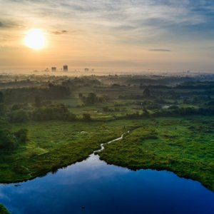 Indonesia’s Agriculture Sector Contributed 2.4% of Global Agricultural Emissions in 2021