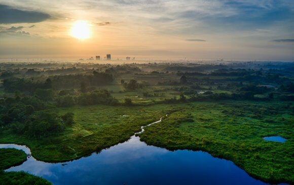 Indonesia’s Agriculture Sector Contributed 2.4% of Global Agricultural Emissions in 2021