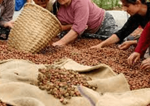 Turkey Contributed .90% of Global Agriculture Sector Emissions in 2021