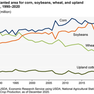 The US Agriculture Sector Contributed to 5.7% of Global Agricultural Emissions in 2021
