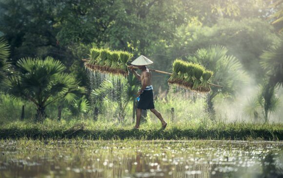 Agriculture Practices of Indigenous People in China Have Been Greatly Affected by Climate Change