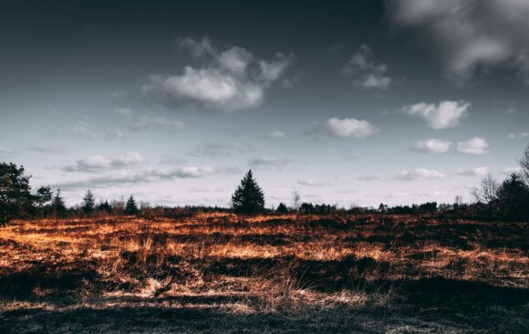 Turkey’s Efforts to Combat and Prevent Forest Fires