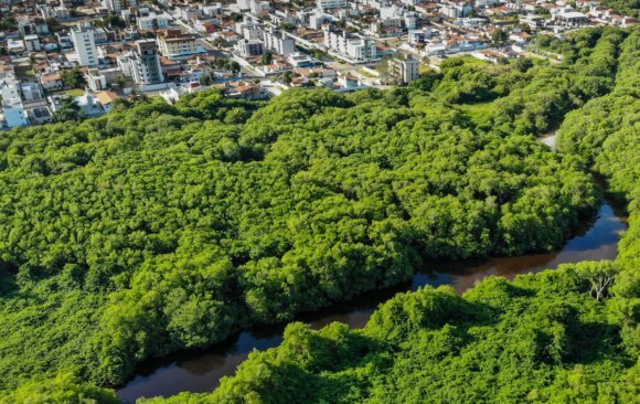 UN Panel Says That Brazil’s NDC Targets Are Too Low