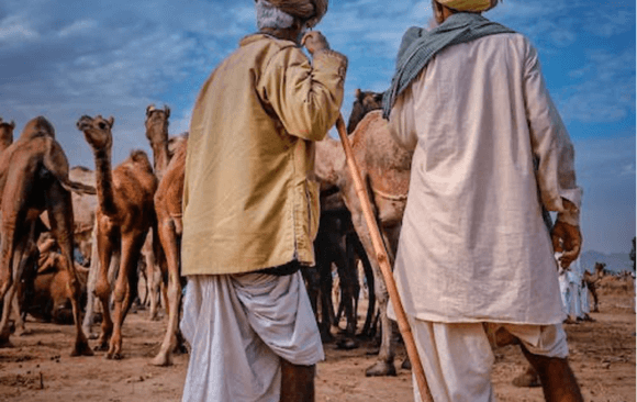 India Country Progress Report on Emissions: Mid-way to 2023