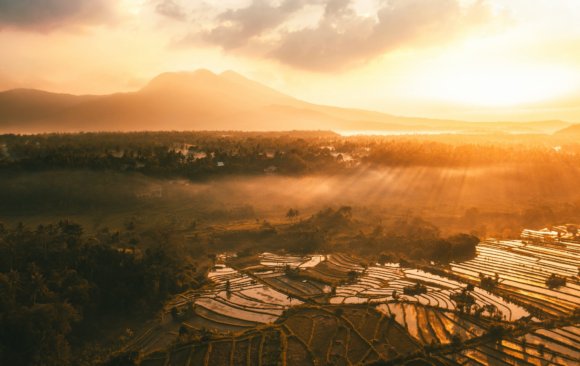 Indonesia’s Land-Use Emissions Rate Might be Slipping