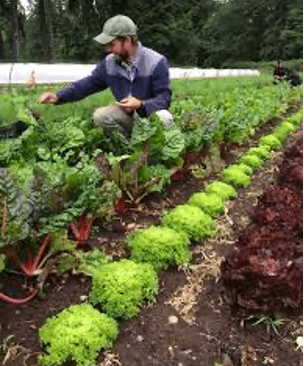 Climate Solutions, a coalition of over 20,000 farmers, is helping Canadian farmers adapt to climate change