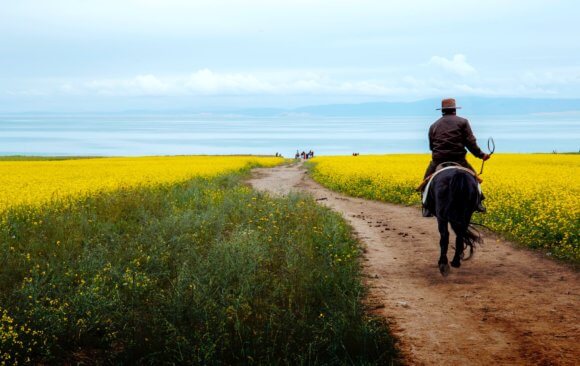 China’s farmers are making moderate progress in adopting farming methods to climate change