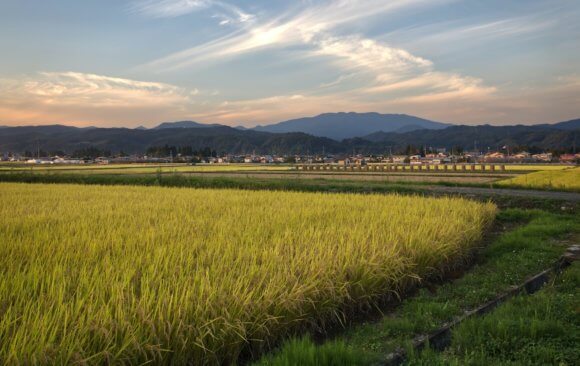 A Dwindling Farm Labor Force in Japan Needs Increased Government Support