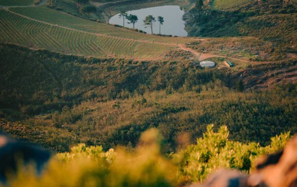 South Africa is being successful in having its farmers adopt Climate Smart Agriculture