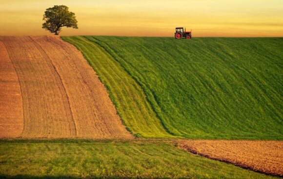 Spanish Farmers’ Climate Adaptation Efforts are Harder in Times of Political Instability