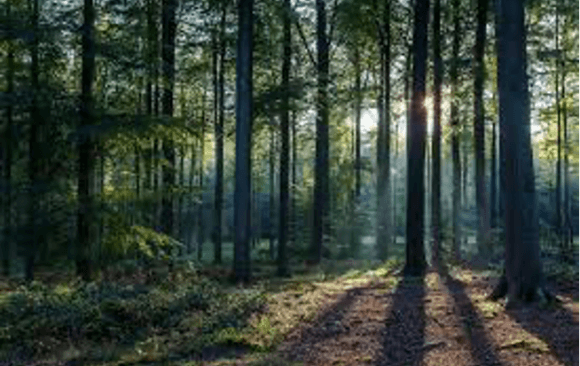 Canada’s Most Significant Climate Policies and Programs in 2023