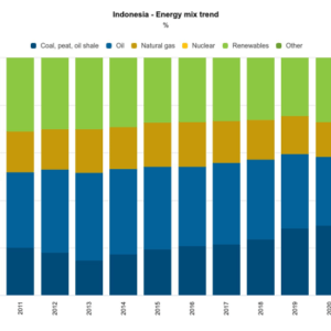 The Energy Landscape in Indonesia: A Decade of Change and Future Prospects