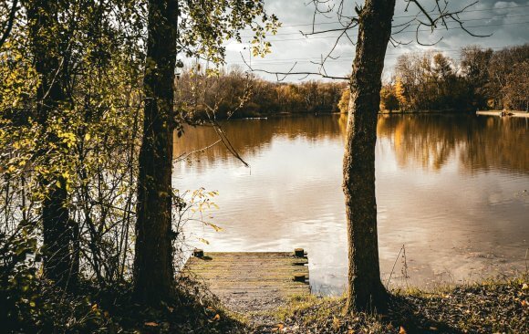 france-80 French Biodiversity Plan and Forest Policy Aim to Strike Balance Between Sustainable Forest Management and Economic Development