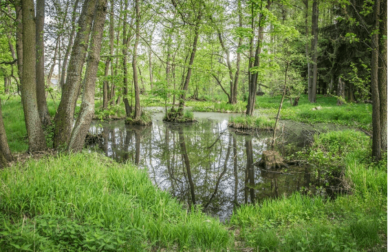 canada-86 Natural Climate Solutions Could Reduce 10% of Canadian Emissions by 2030