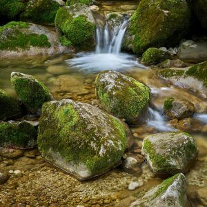 The European Union has Increasingly Integrated Nature Based Solutions into its Climate Policies