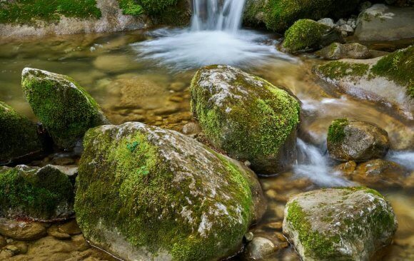 eu-86 The European Union has Increasingly Integrated Nature Based Solutions into its Climate Policies