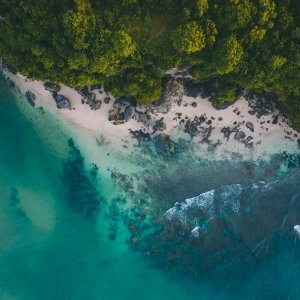 Indonesia is Progressively Employing Nature-Based Solutions (NBS) to Address Climate Change