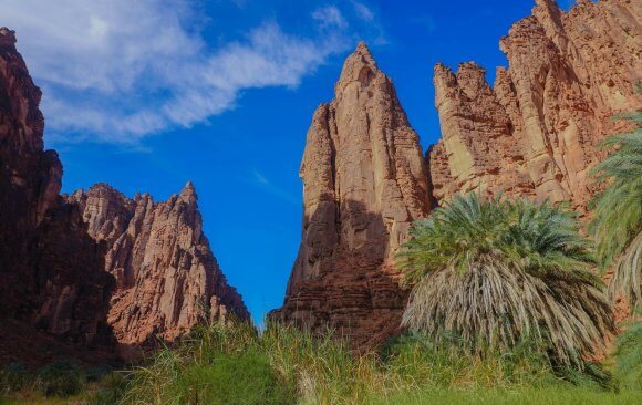 Saudi Arabia’s NBS Goals are to Turn 30% Land into Nature Reserves, Plant 10 Billion Trees, and Restore 40 Million Hectares of Degraded Land