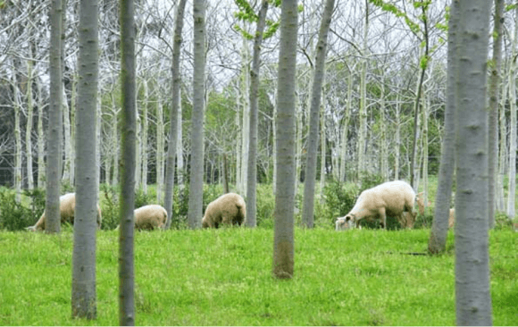 spain-86 A Digital Observatory Called the Nature-Based Solutions Observatory has Been Launched to Facilitate Knowledge Exchange Among Professionals and Entities that Support Nature-Based Solutions in Spain