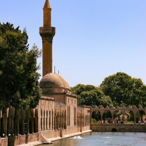 Implementing NBS in Turkey, Particularly in Urban Areas, Requires Significant Financial Investment, Mobilizing Both Domestic and International Funding