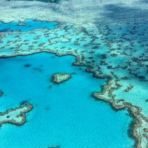 Roadmaps for the Future: Australian Climate Experts on What Needs to Be Done
