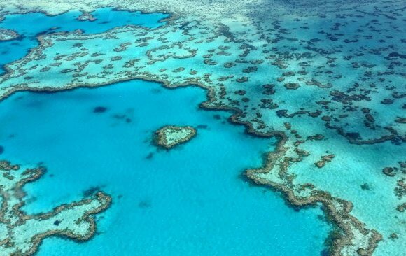 Roadmaps for the Future: Australian Climate Experts on What Needs to Be Done