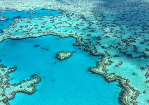 Roadmaps for the Future: Climate Experts on What Needs to Be Done