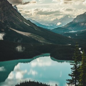 Roadmaps for the Future: Canadian Climate Experts on What Needs to Be Done
