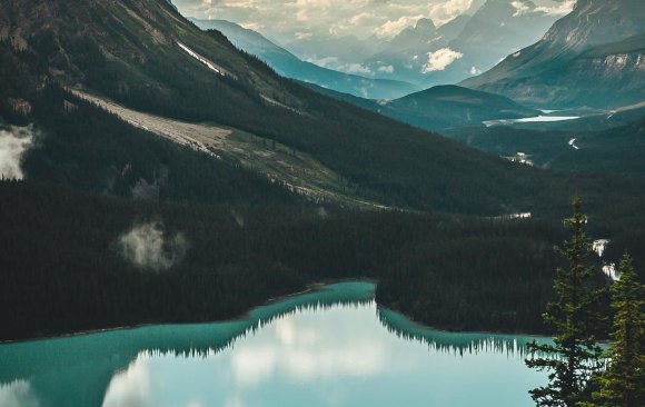 Roadmaps for the Future: Canadian Climate Experts on What Needs to Be Done