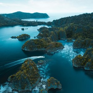 Roadmaps for the Future: Indonesian Climate Experts on What Needs to Be Done