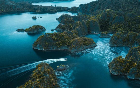 Roadmaps for the Future: Indonesian Climate Experts on What Needs to Be Done