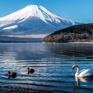Roadmaps for the Future: Japanese Climate Experts on What Needs to Be Done
