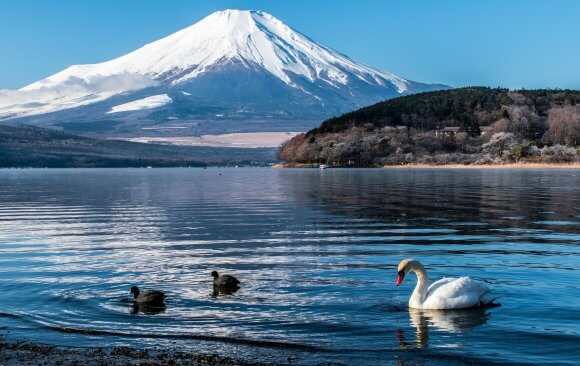 Roadmaps for the Future: Japanese Climate Experts on What Needs to Be Done