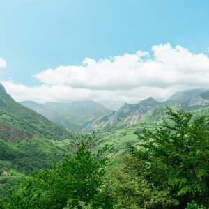 Roadmaps for the Future: Spanish Climate Experts on What Needs to Be Done