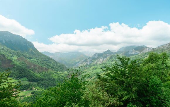 Roadmaps for the Future: Spanish Climate Experts on What Needs to Be Done