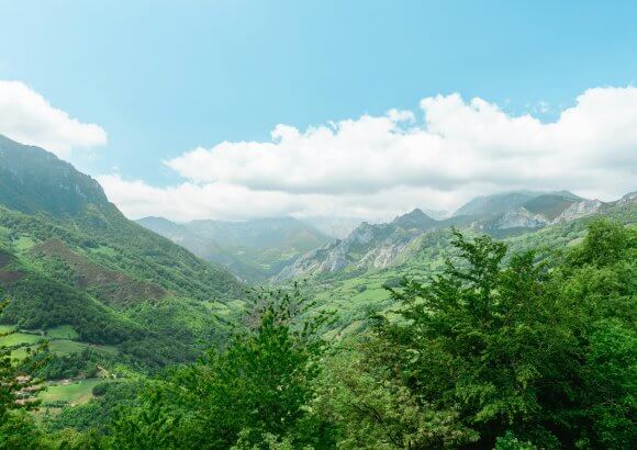 Roadmaps for the Future: Spanish Climate Experts on What Needs to Be Done