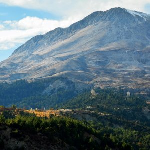 Roadmaps for the Future: Turkish Climate Experts on What Needs to Be Done