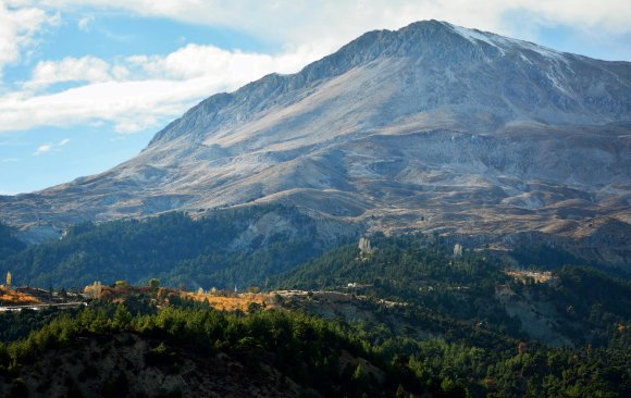 Roadmaps for the Future: Turkish Climate Experts on What Needs to Be Done
