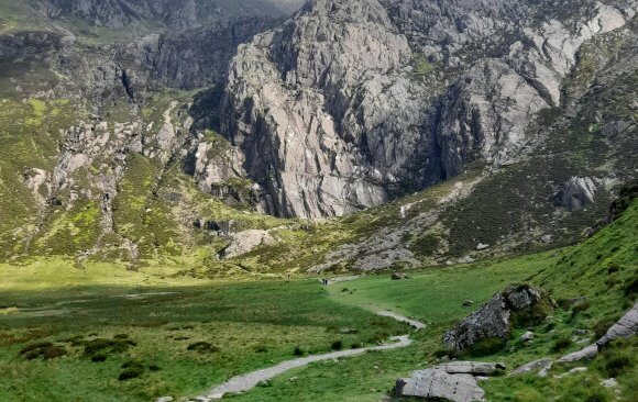 Roadmaps for the Future: UK Climate Experts on What Needs to Be Done