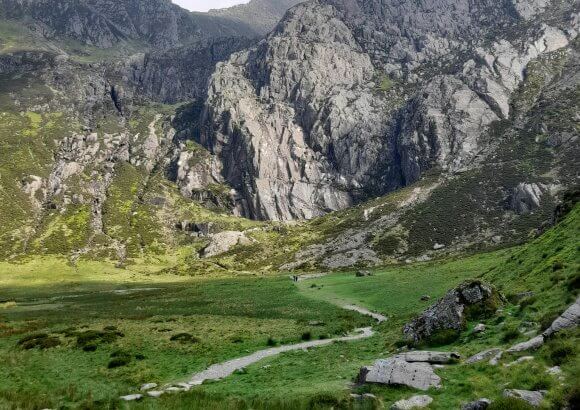 Roadmaps for the Future: UK Climate Experts on What Needs to Be Done