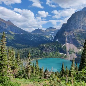 Roadmaps for the Future: US Climate Experts on What Needs to Be Done