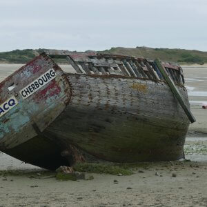 France: What Recent Climate Polling Tells Us