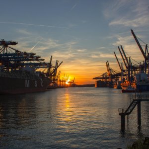 Germany: What Recent Climate Polling Tells Us
