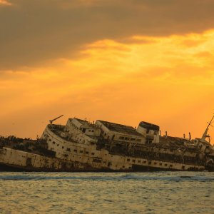 Saudi Arabia: What Recent Climate Polling Tells Us